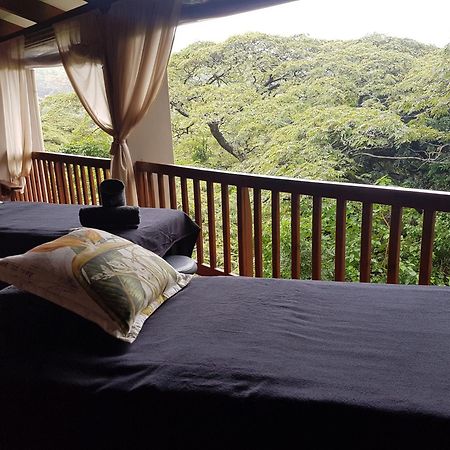 Honeywood Forest Lodge Port Shepstone Extérieur photo