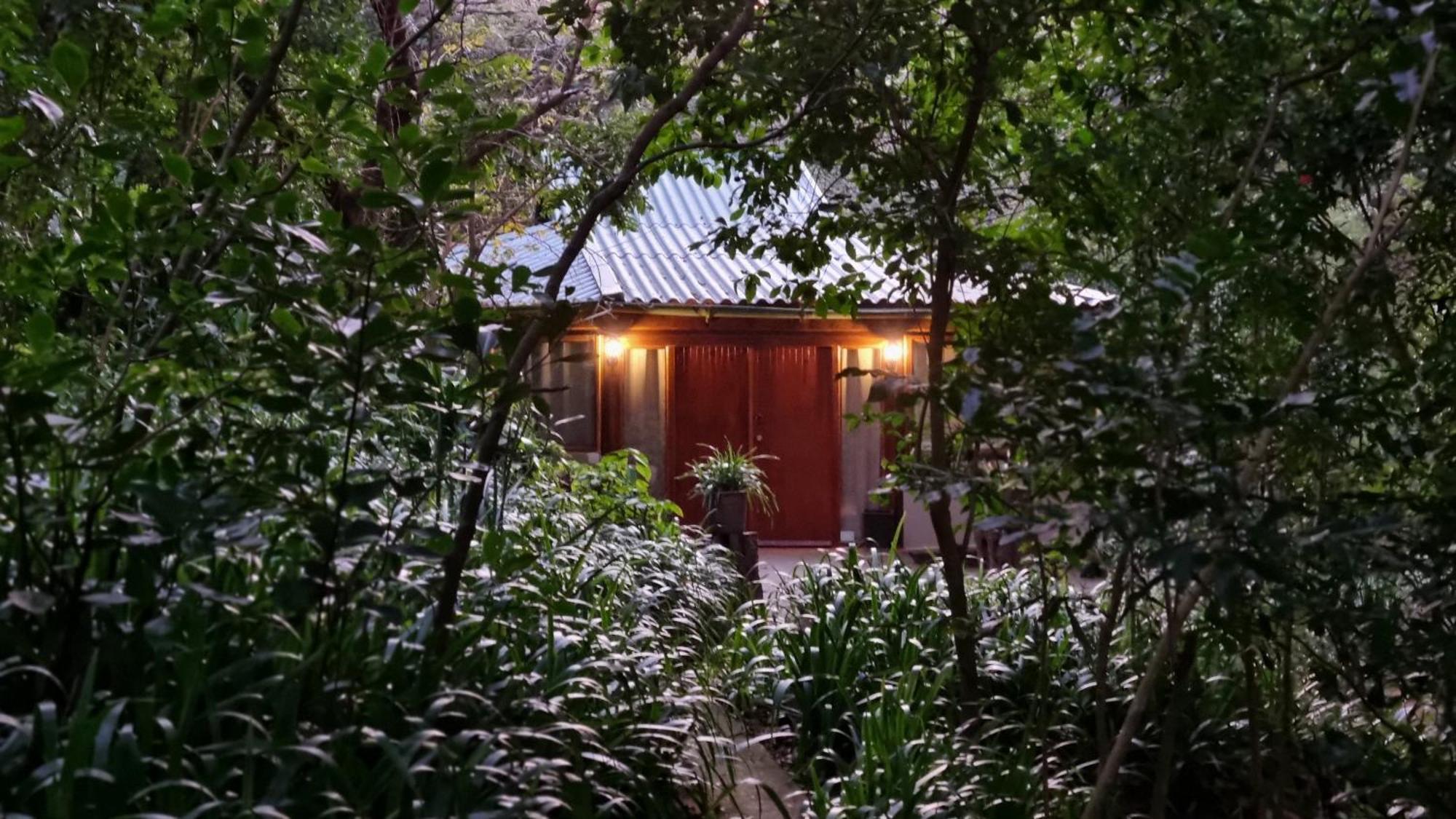 Honeywood Forest Lodge Port Shepstone Extérieur photo