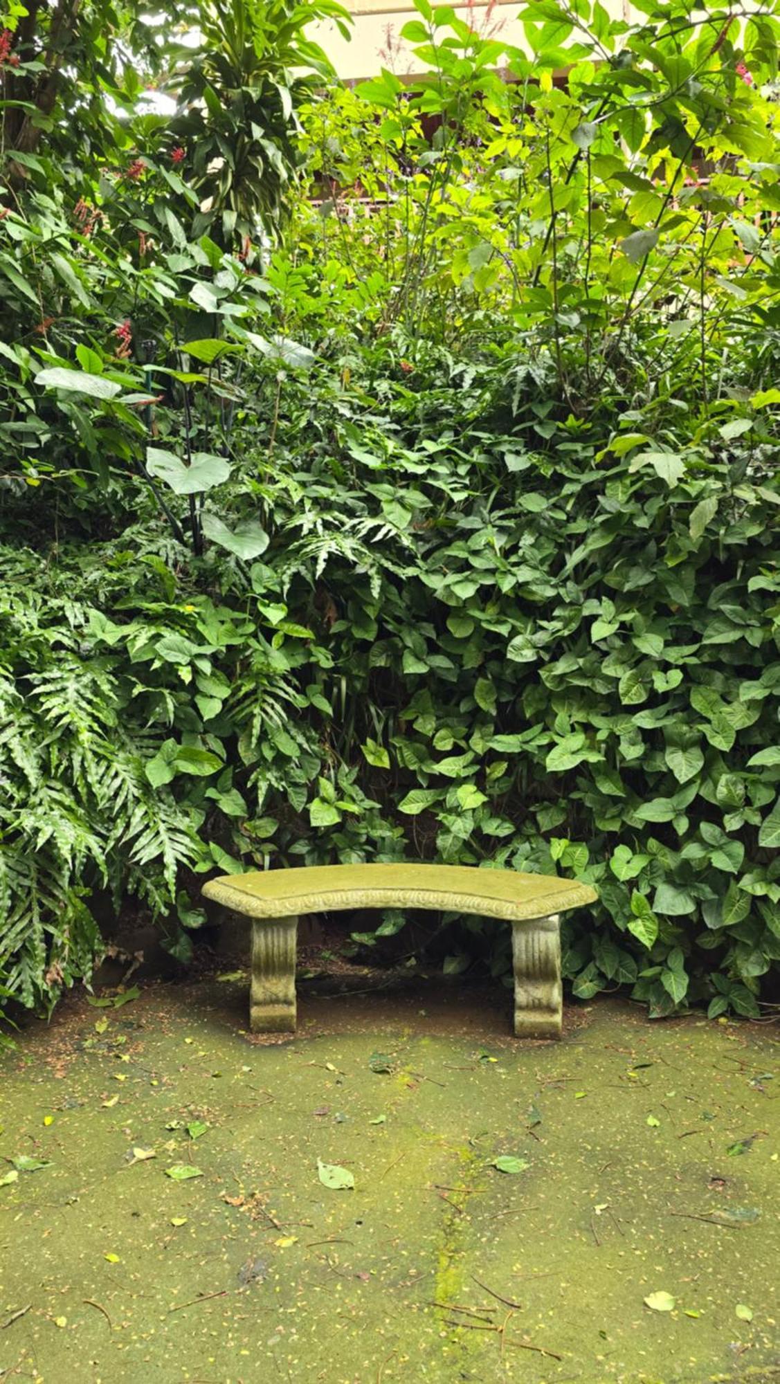 Honeywood Forest Lodge Port Shepstone Extérieur photo