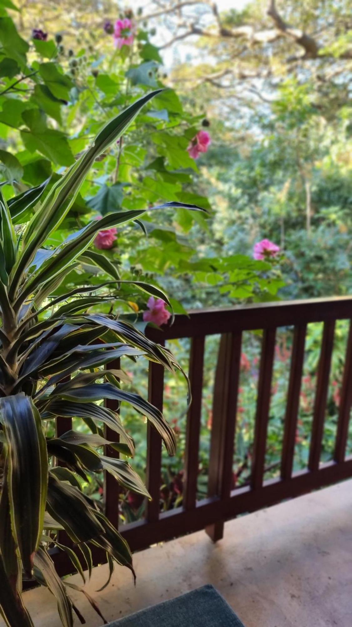 Honeywood Forest Lodge Port Shepstone Extérieur photo